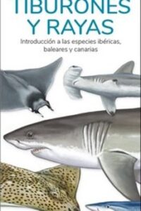 Tiburones Y Rayas